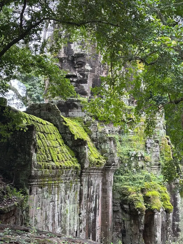 budget packing cubes