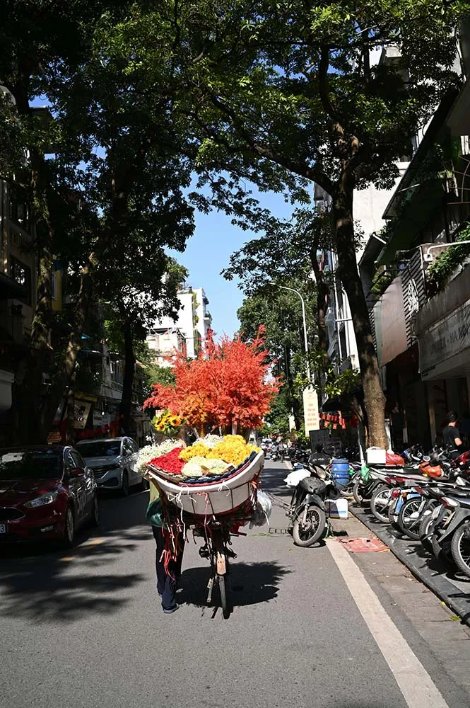 budget packing cubes